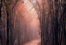 CBA：山东高速男篮迎来常规赛收官战.