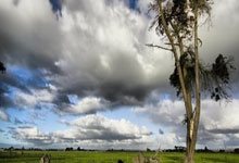 开云：羽毛球亚团赛中国队首战告捷2025-02-12.